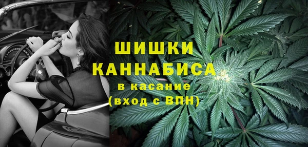 твердый Алзамай
