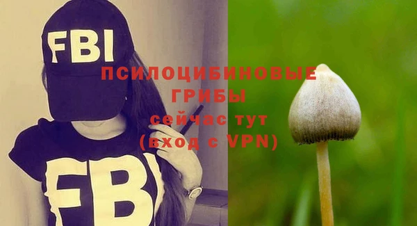 твердый Алзамай