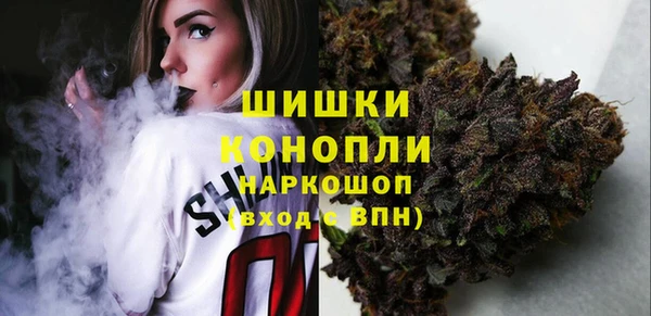 сатива Сатка