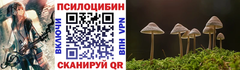 цены   Жуковка  Галлюциногенные грибы Magic Shrooms 